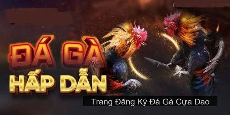 Trang đăng ký đá gà cựa dao trực tiếp